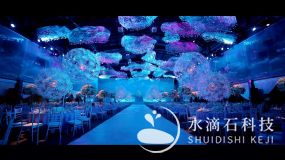 全息婚纱投影，带给你最极致的享受 